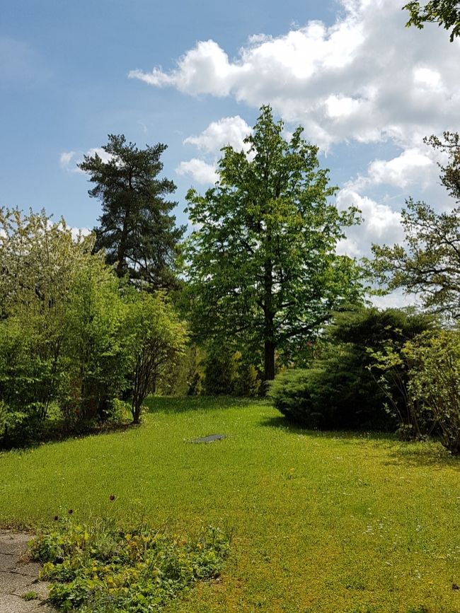 1 A Lage, Gartenwhg mit Blick über Krailling
