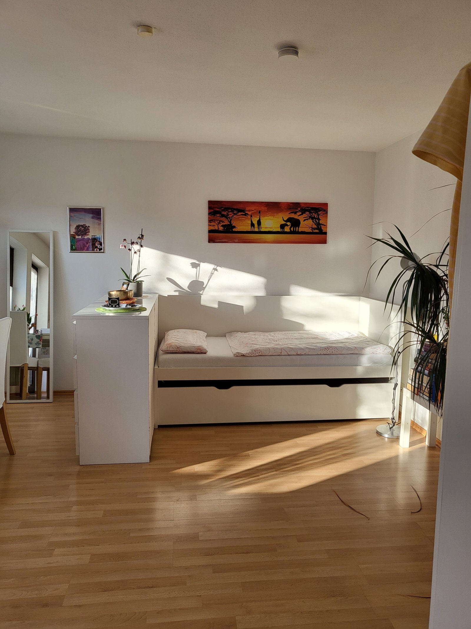 sonniges Single zu Hause