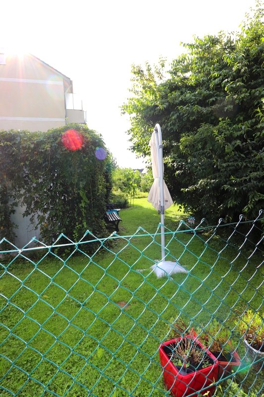 Gemeinschaftsgarten Gemeinschaftsgarten